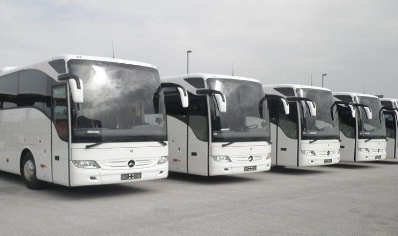 Nouvelle-Aquitaine: Bus company in Agen in Agen and France
