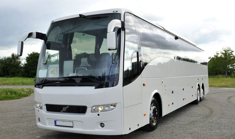 France: Buses agency in Occitanie in Occitanie and Muret