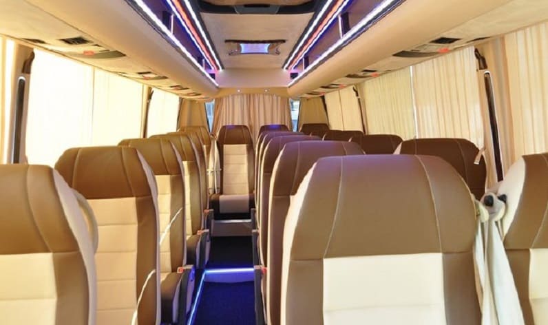 France: Coach reservation in Occitanie in Occitanie and Castres